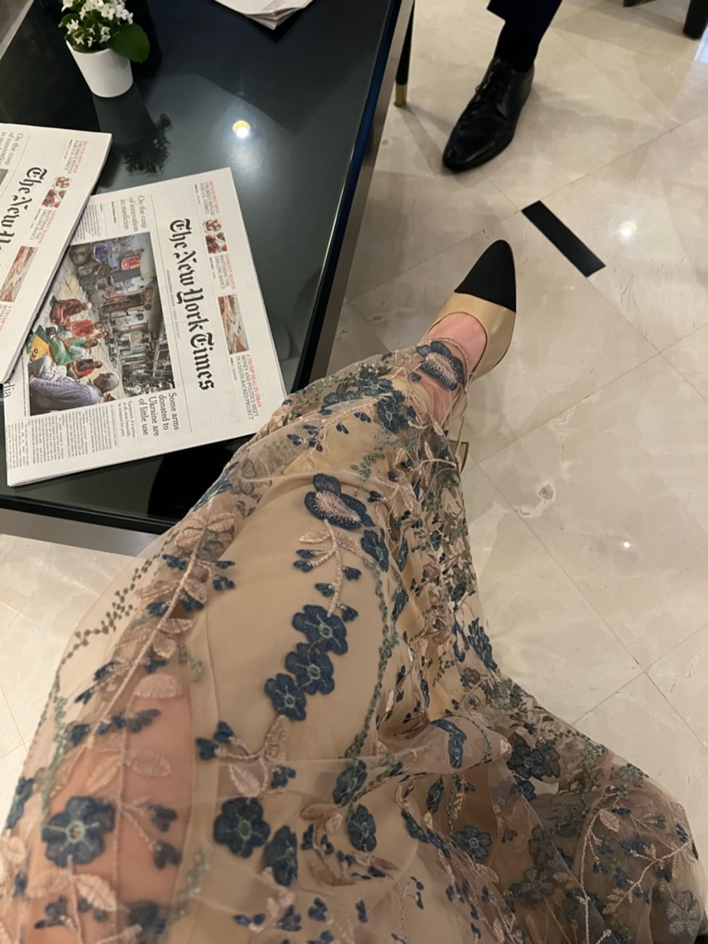 Windsor Beige Sheer Dress with Blue Floral Embroidery